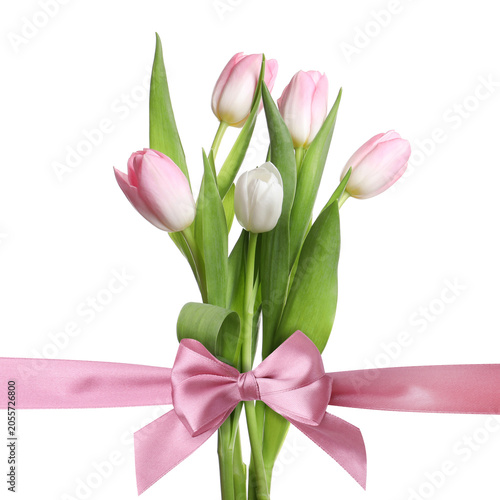 Beautiful tulips with pink ribbon on white background