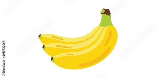 Fresh ripe yellow banana bunch vector illustration with illustration tropical nutrition agriculture refreshing culinary ingredient colorful isolated vitamins vegetarian
