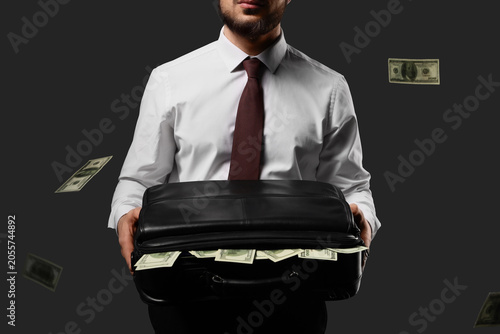 Fényképezés Businessman holding briefcase full of US dollar bills with money falling, financ
