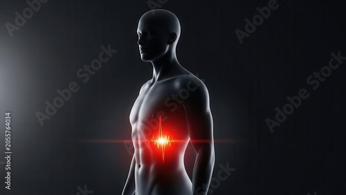 3D rendering of a male human torso with a glowing red pain point indicating internal organ discomfort or disease in the abdominal area.