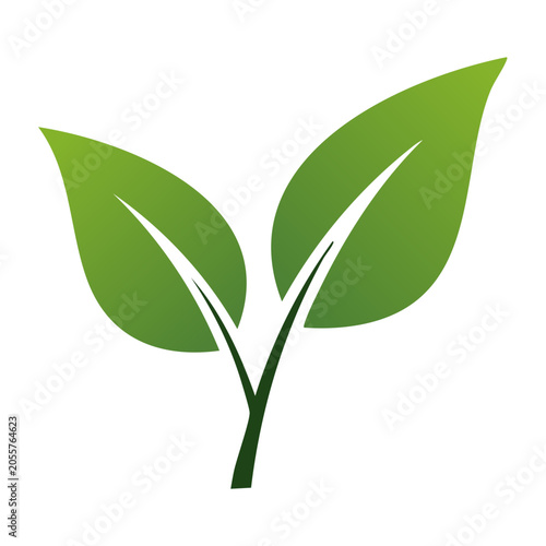 Green leaf flat design isolated
