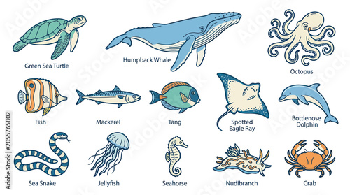 Photography Ocean Life Collection: Diverse Marine Animals Illustration
