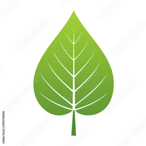 Green leaf icon with white veins on transparent background