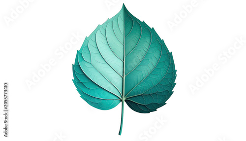 Single Teal Decorative Leaf Illustration Representing Natural Growth and Botanical Beauty on a Clean White Background