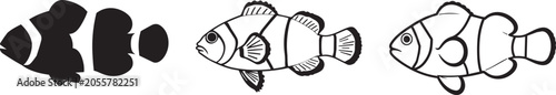 Clownfish vector illustration set with three different styles