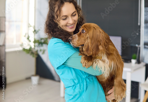 Konstfotografi Veterinarian dog cocker spaniel pet care clinic