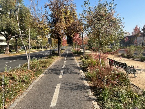 Tableau sur toile path in the park
