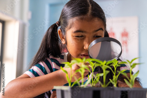 Indian schoolgirl inspecting seedlings in black tray using lens at school in striped tee