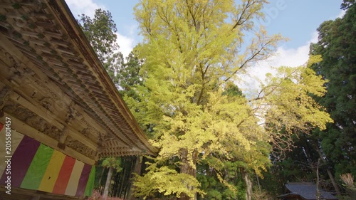 秋の秋保大滝 不動尊 Autumn at Akiu Great Falls and Fudo Myoo Temple