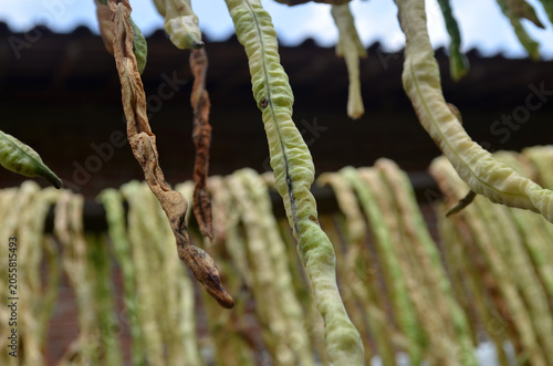 a pile of long beans hung behind the blurry house. the texture of the long beans was old, dry, and wrinkled.