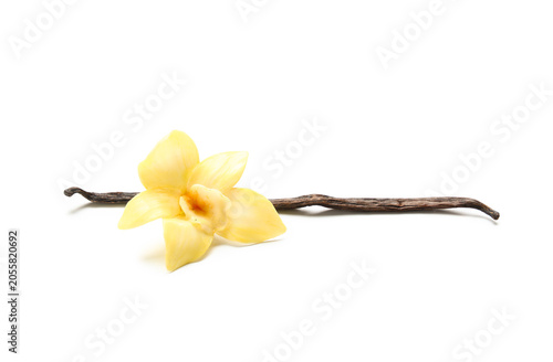 Beautiful vanilla flower an...