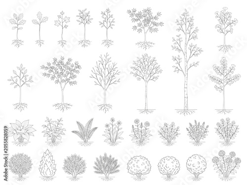 Vector CAD Blocks of Trees and Plants for Architectural Site Plan