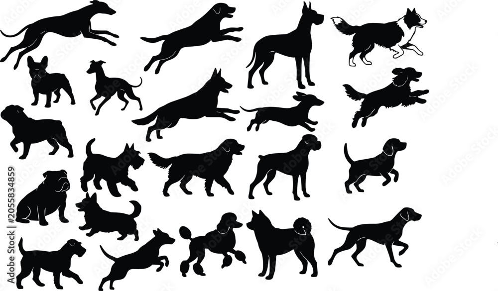 Fototapeta premium Vector collection of diverse purebred dog silhouettes in active poses running jumping and standing isolated on white