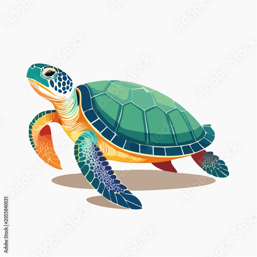 Illustration of a Sea Turtle