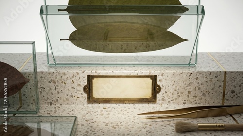 Botanical specimen leaf in glass holder on terrazzo surface with blank label and archival tools