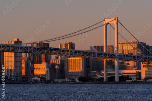 Fotografie 朝日に輝くレインボーブリッジと東京湾岸の街並み
Rainbow Bridge and Tokyo Bay Waterfront in Morning Light