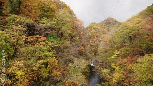 紅葉が美しい秋の秋保大滝 Akiu Great Falls in autumn, when the autumn leaves are beautiful.