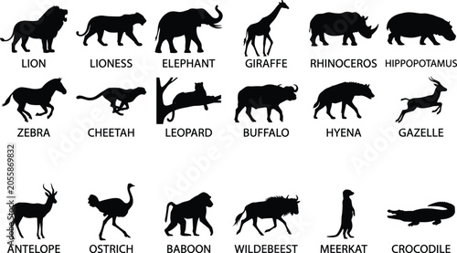 Photography Set of black silhouettes of African wild animals with labels for education design isolated on white background image_48a200