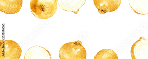 フレッシュなタマネギのフレーム　野菜の手描き水彩イラスト背景素材