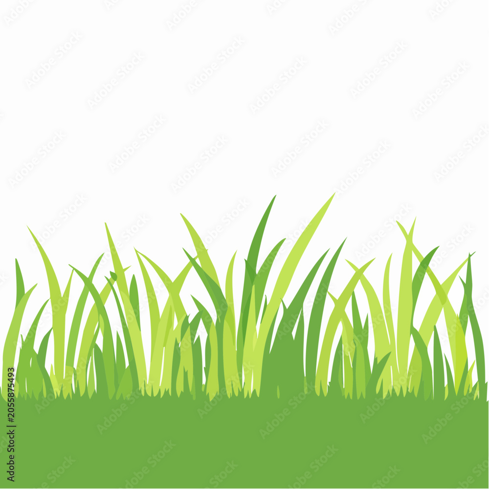Fototapeta premium Green Grass Border with White Background