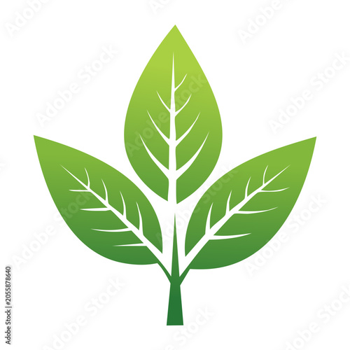 Flat design green leaf vector icon