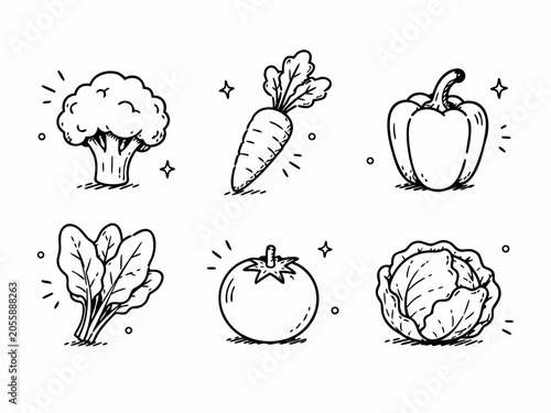 hand drawn vegetables
