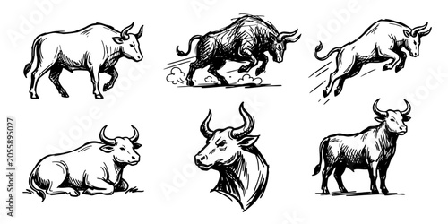 Bull Logo Collection Set - Hand Drawn Sketch of Charging Running Jumping Standing Lying Down and Head Bulls - Ox Mascot Vector Emblem Badge Pack for Finance and Sports Branding