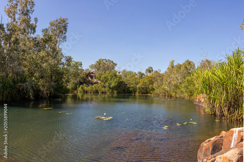 Photos The bilabong above the Moran Falls in the Mitchell River National Park