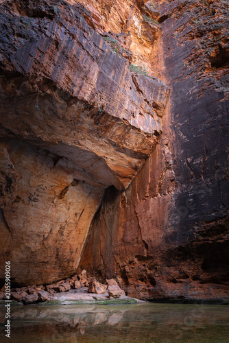 The coloured sandstone walls of Cathedral Gorge in Purnululu National Park