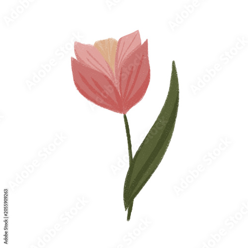 Pink flower simple illustration