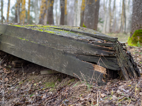 Rotten wooden boat abandoned on a lakeshore, showing weathered planks, cracked timber, and natural decay. The old vessel rests among fallen leaves and forest vegetation