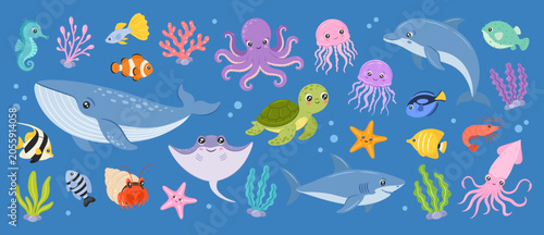 Photography Ocean animals set featuring blue whale, dolphin, shark, octopus, sea turtle, stingray, jellyfish, seahorse, starfish, hermit crab, squid, shrimp, tropical reef fishes and seaweed