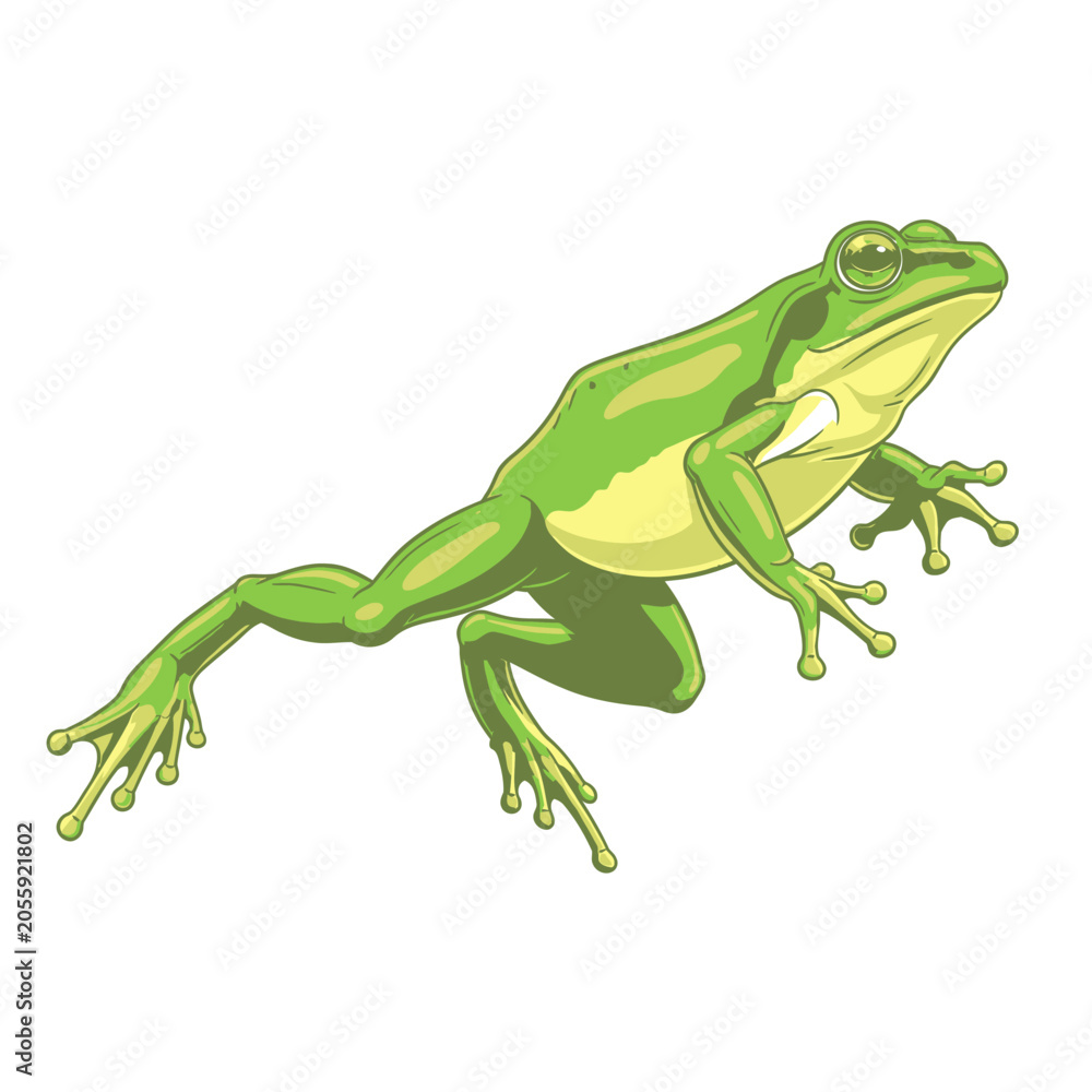 Fototapeta premium Green Frog Amphibian Closeup Profile.
