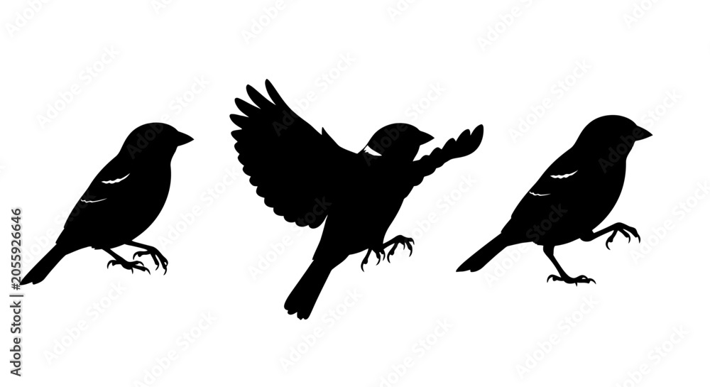 Fototapeta premium Three Black Birds in Flight Silhouette.