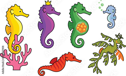 Cute Seahorse and Leafy Seadragon Vector Icon Set Featuring Pregnant Seahorse with Eggs Crown Pink Coral and Bubbles for Marine Life Graphic Designs