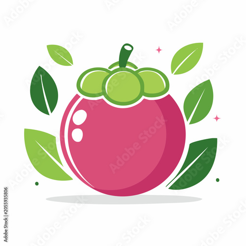 Mangosteen Fruit Illustration