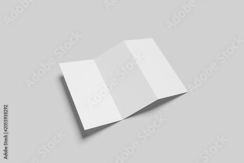Blank DL Trifold Brochure Mockup