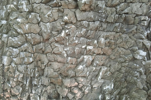 cement wall made to resemble tree bark texture, suitable for background