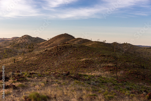 Φωτογραφία Undulating open woodland savannah with spinefix recovering after environmental planned fire