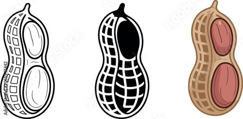 Peanut vector illustration icon set featuring open shell outline silhouette and colorful brown raw nut designs for healthy snack food concept