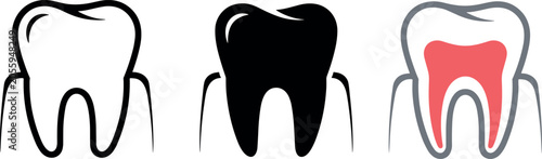 Tooth and dental pulp vector illustration icon set featuring molar outline silhouette and anatomical red root canal designs for dentistry concept