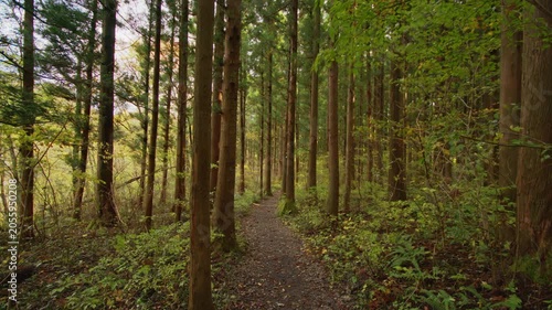 秋保大滝の遊歩道 Walking trail at Akiu Great Falls