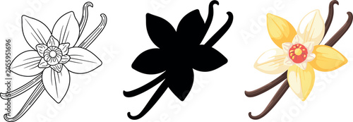 Vector set of vanilla flower icons with spice pods in detailed outline black silhouette and beautiful color cartoon styles