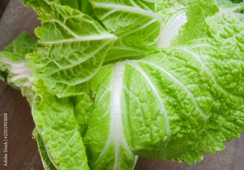 chinese cabbage leaves isolated on a wooden table