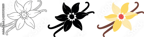 Vector set of vanilla flower icons with spice pods in detailed outline black silhouette and beautiful color cartoon styles