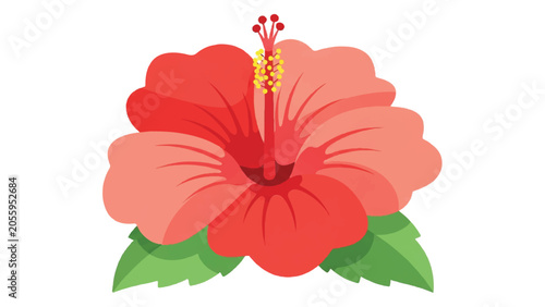 Photography Red Hibiscus Flower with Green Leaves.