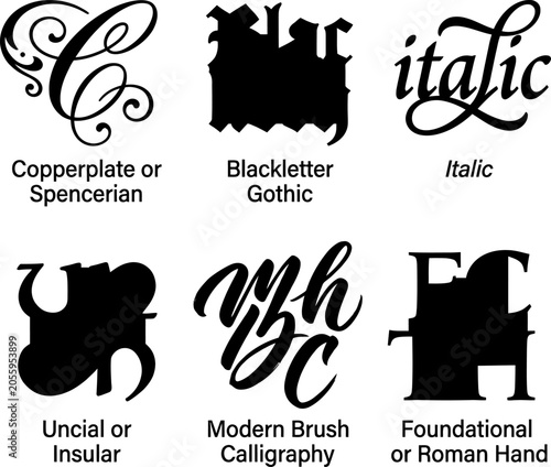 Calligraphy font styles collection featuring decorative blackletter gothic italic copperplate spencerian uncial insular modern brush roman hand writing typography sets.