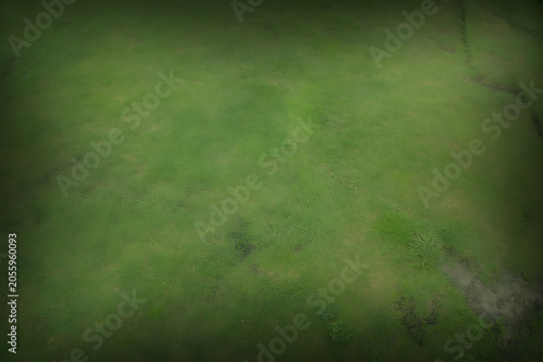 Green Grass Field with Dark Vignette