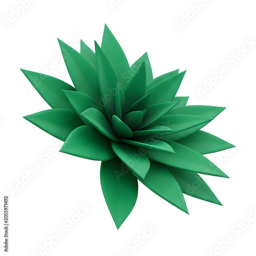 Stylized green succulent plant on white background