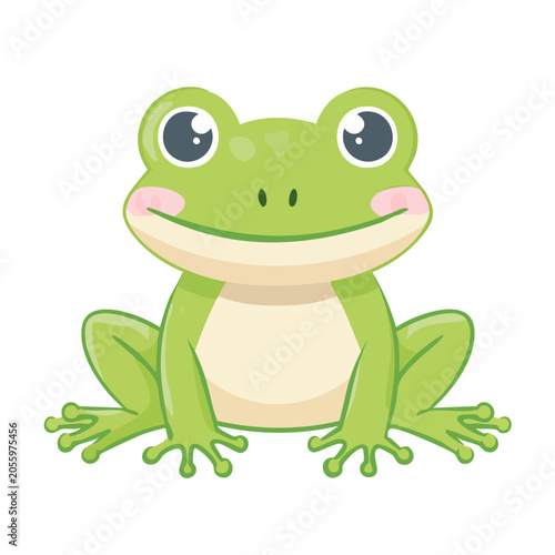 Cartoon green frog with white belly